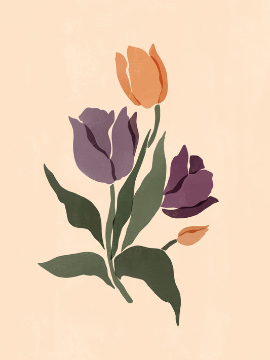 Tulipes