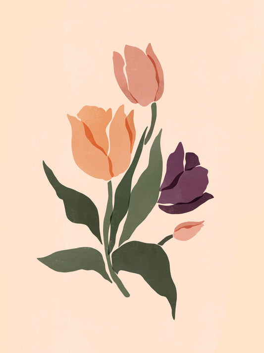 Tulipes