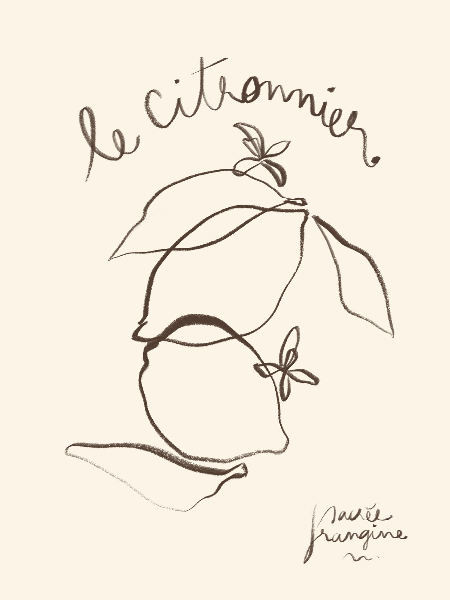 Le Citronnier